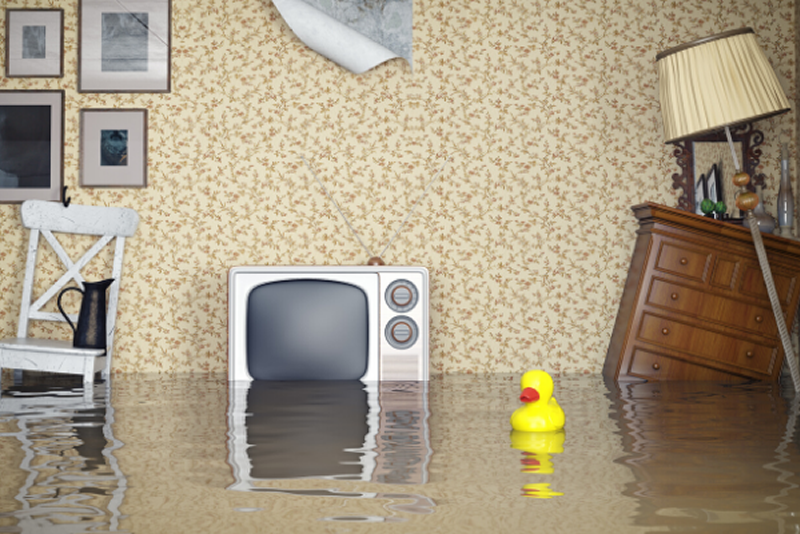 Public Adjuster For Flood Damage In Miami