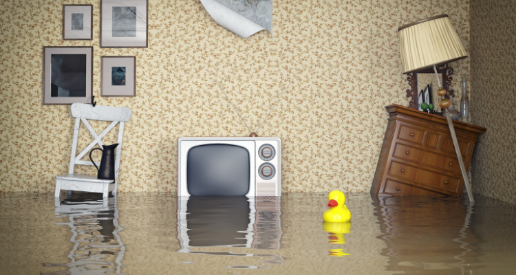 Public Adjusters in Miami
