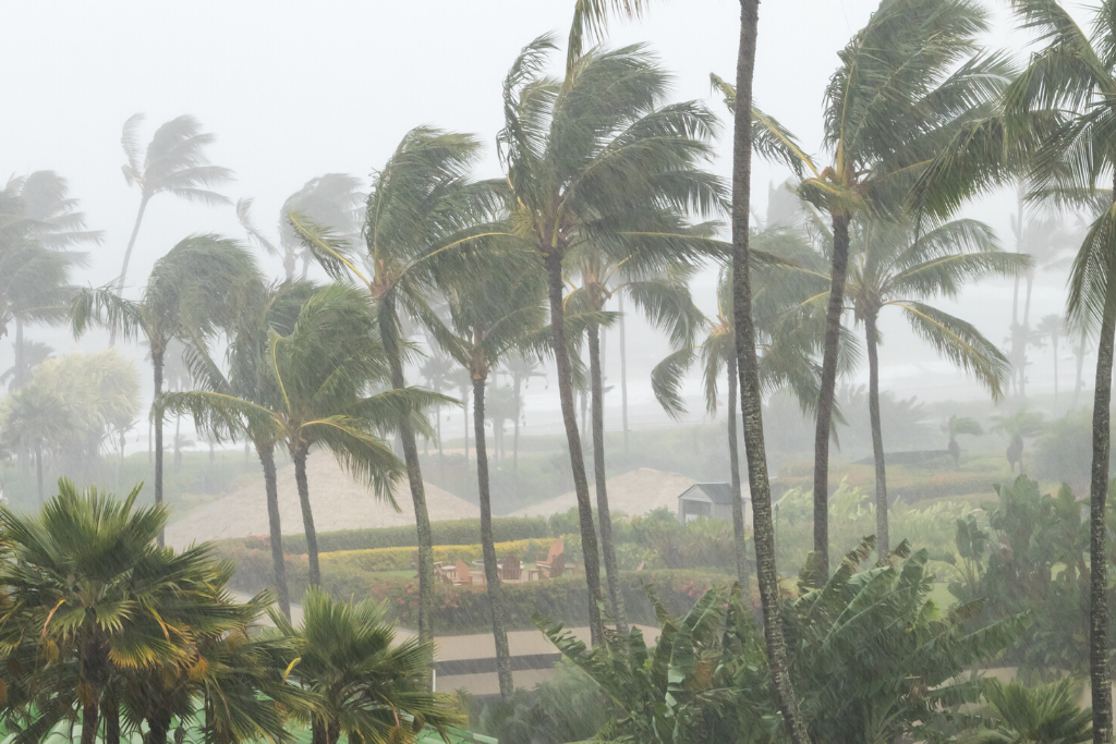 Public Adjuster For Hurricane Damage In Miami