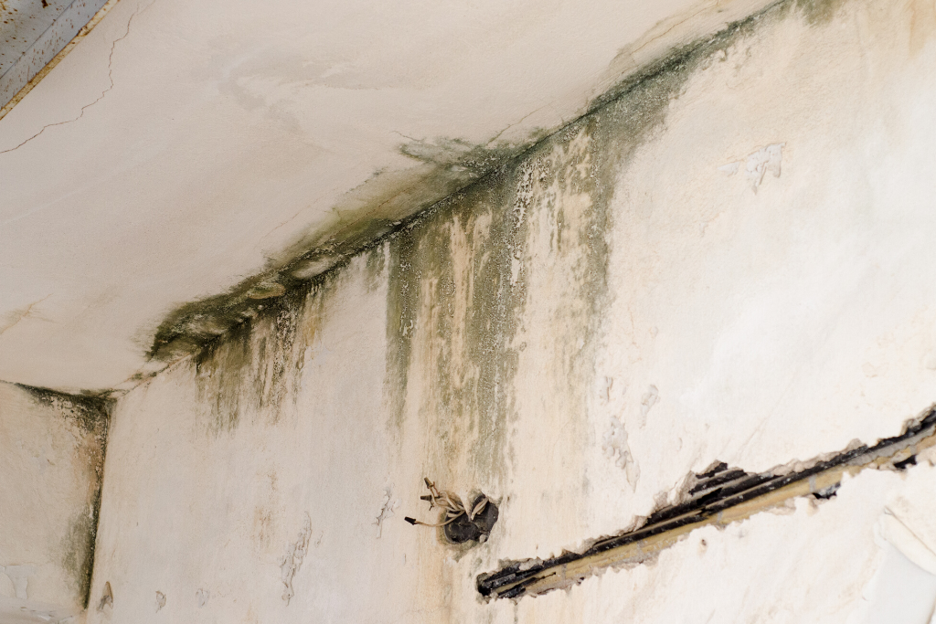 Public Adjuster Water Damage in Miami
