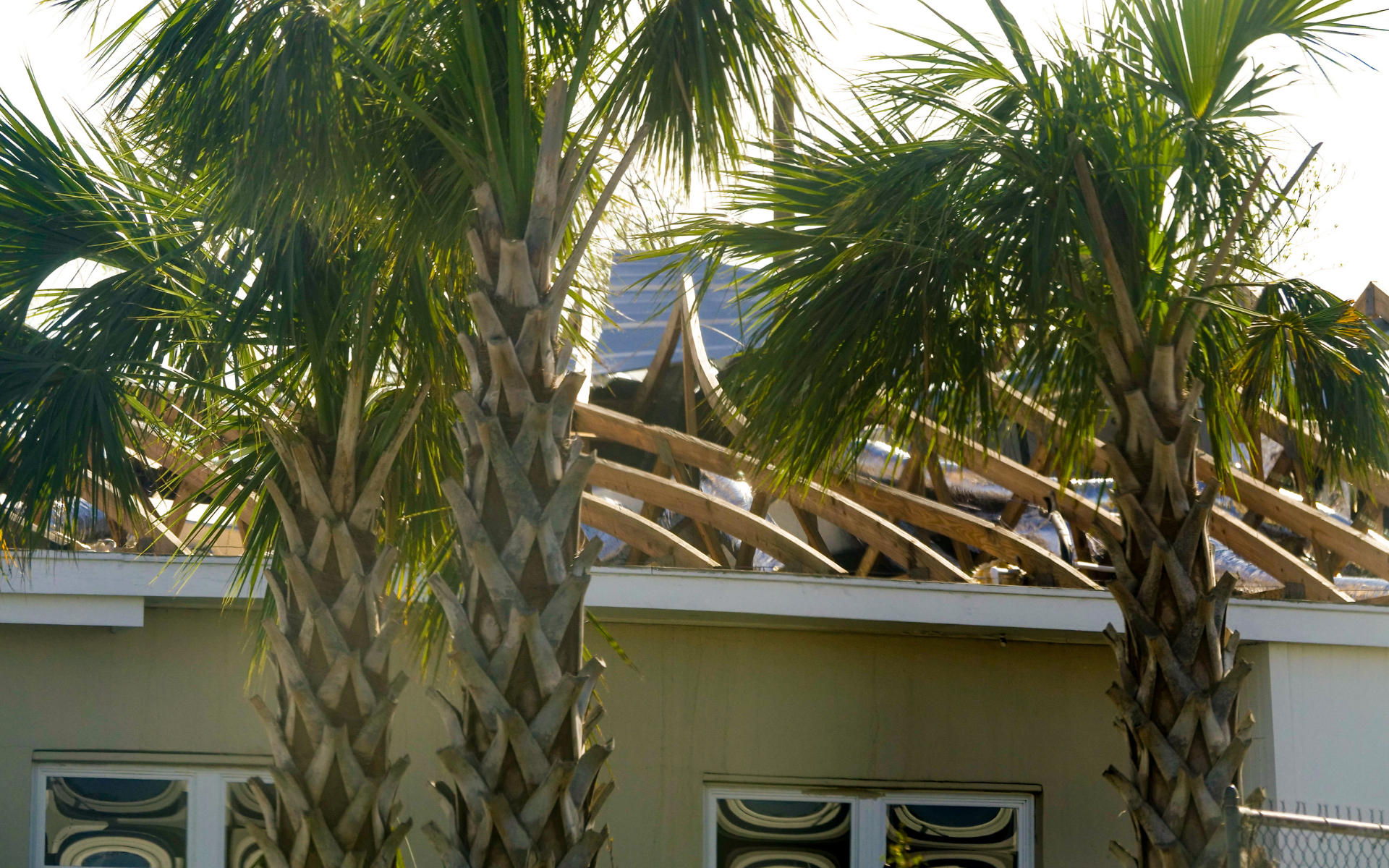 Different Types Of Roof Damage in Miami