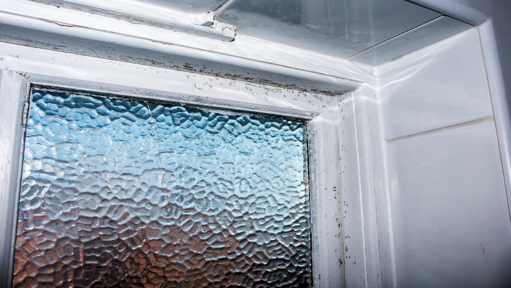 Mold Damage in Miami