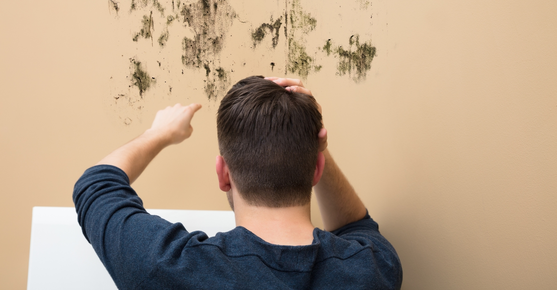 Alconero and Associates - How To Spot Mold Damage in Miami