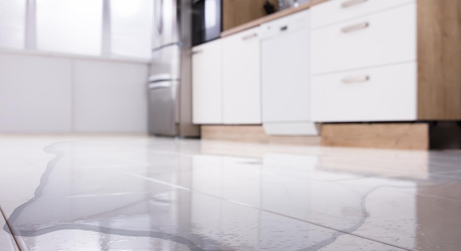 Alconero and Associates - Understanding your coverage for water damage claim in Miami
