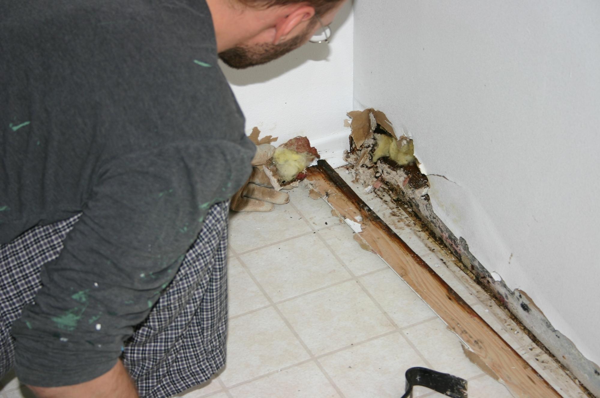 Alconero and Associates - Water damage in Miami: How to file an insurance claim